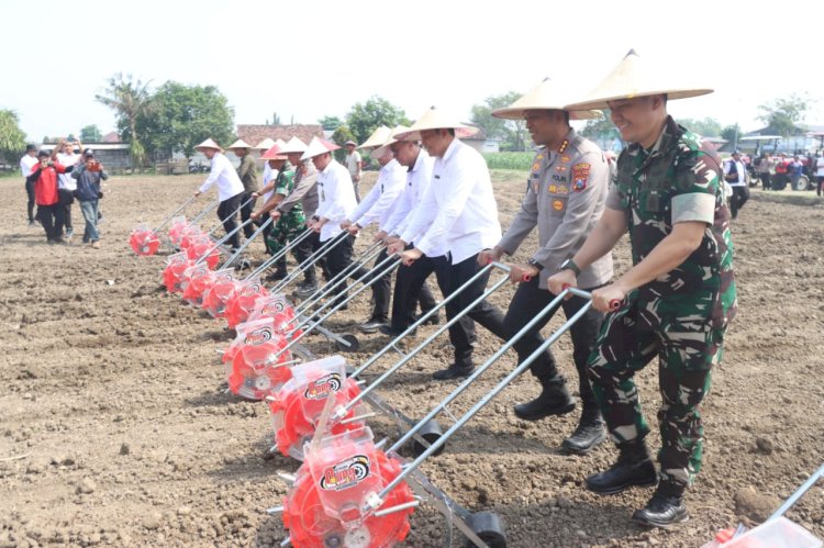 Imigrasi Surabaya dan Polresta Sidoarjo Kolaborasi Dukung Ketahanan Pangan Melalui Semarak Tanam Jagung